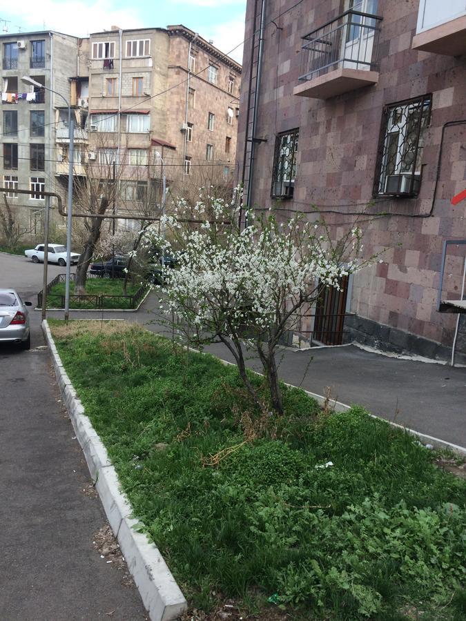 Apartment In The Center Of יירבאן מראה חיצוני תמונה